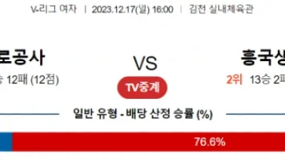 12월 17일 16:00 V-리그 여자 한국도로공사 vs 흥국생명 국내배구분석