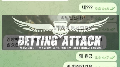 마일드 먹튀 확정