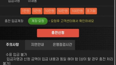 코크 먹튀 확정