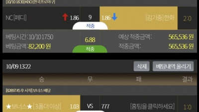 엘리나 먹튀 확정