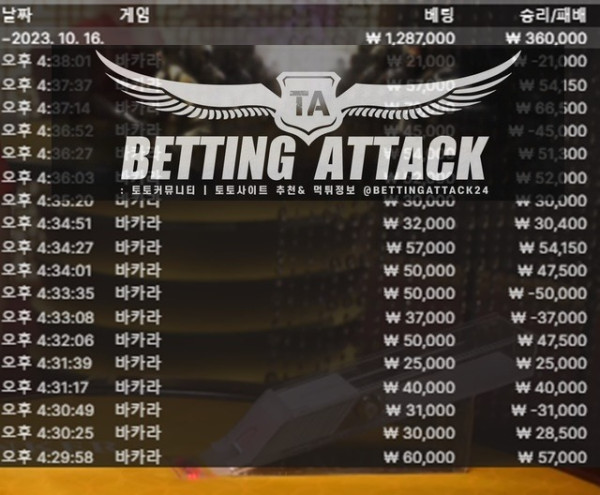 비숑카지노 먹튀.jpg