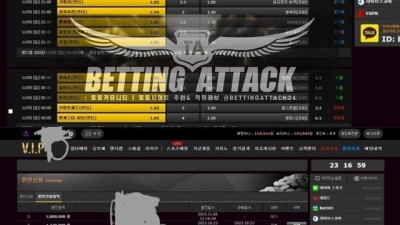 vip 먹튀 확정