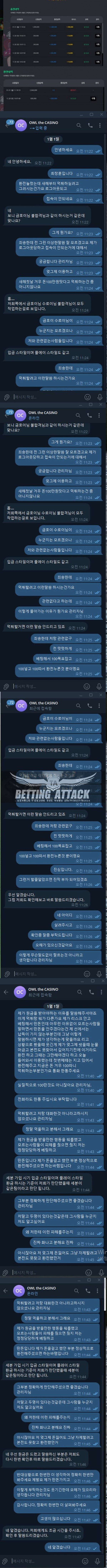 owl.jpg