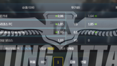 비랩 먹튀 확정