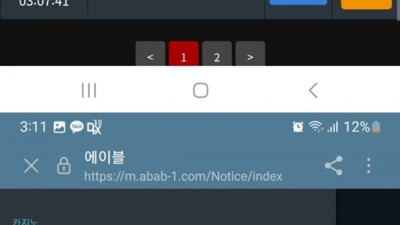 에이블 먹튀 확정