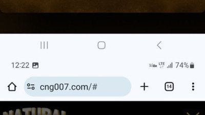 내츄럴 먹튀 확정