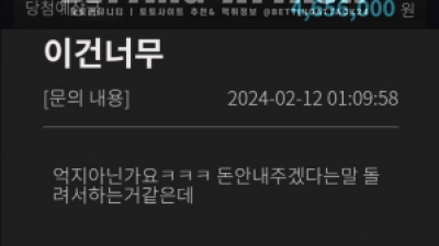 비트 먹튀 확정