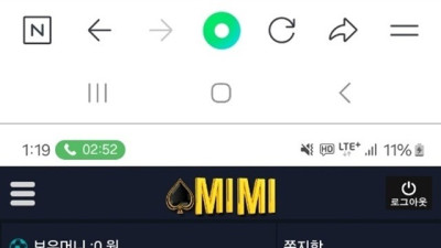 미미 먹튀 확정