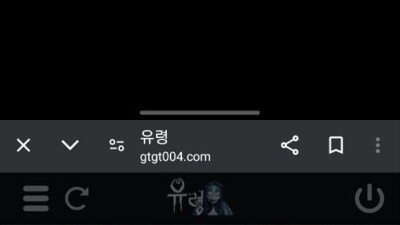 유령 먹튀 확정