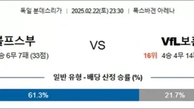 2월 22일 분데스리가 4경기