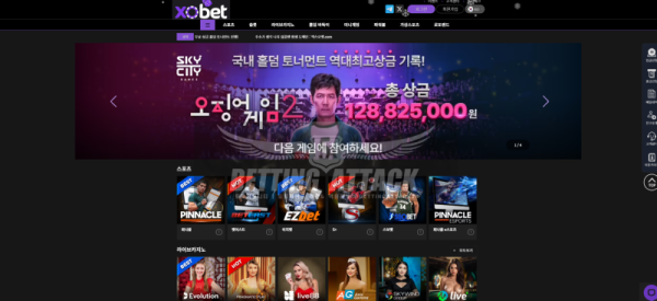 xo벳.png