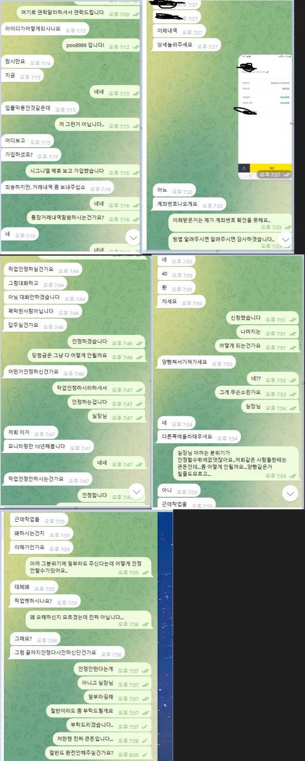 카니발.png