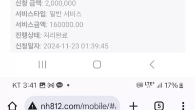 뉴헤븐 먹튀 확정