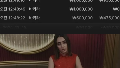 도미닉 먹튀 확정