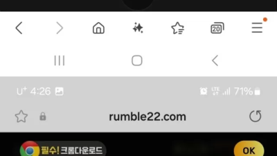 럼블벳 먹튀 확정