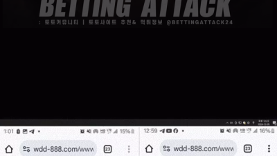 원더풀 먹튀 확정