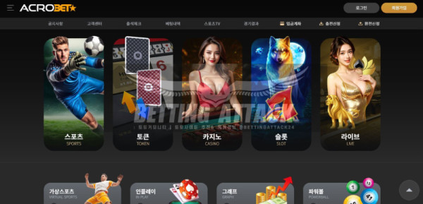 아크로뱃.jpg