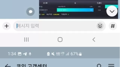 코인 먹튀 확정