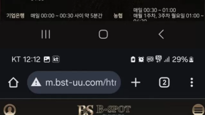 비스팟 먹튀 확정