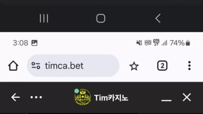 팀카지노 먹튀 확정