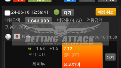 피크 먹튀 확정