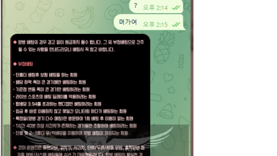 코이 먹튀 확정