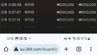 수선화 먹튀 확정