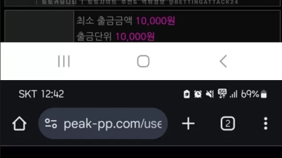 피크 먹튀 확정