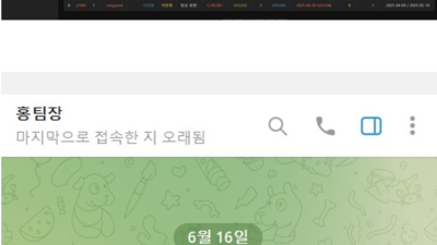 나무 먹튀 확정