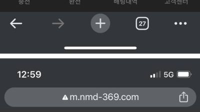 노마드 먹튀 확정