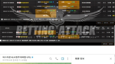 비스타 먹튀 확정