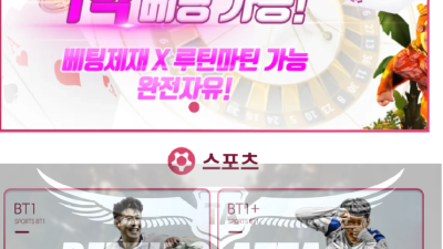보트카지노 먹튀 확정