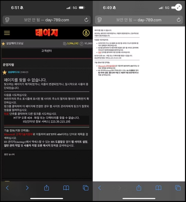 데이지.png