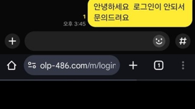 올림픽 먹튀 확정