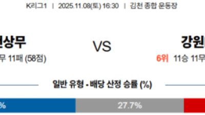 11월 8일 K 리그 2경기