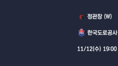 11월 12일 V 리그 여자 1경기