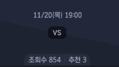 11월 20일 V 리그 여자1경기