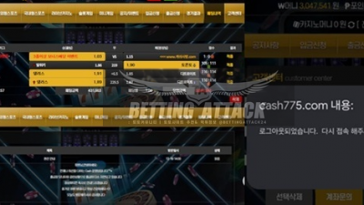 캐쉬 먹튀 확정