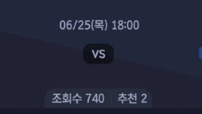 6월 25일 NPB 4경기